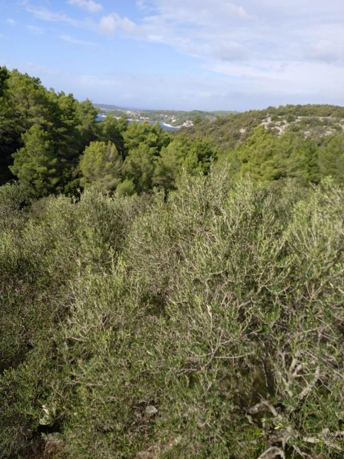 Svema Apartman Vela Luka Esterno foto